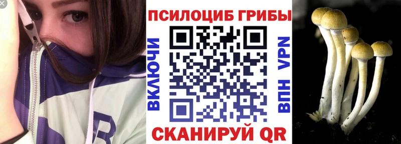Галлюциногенные грибы прущие грибы  Купить где  Покачи 